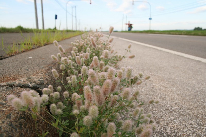 ファイル 282-1.jpg