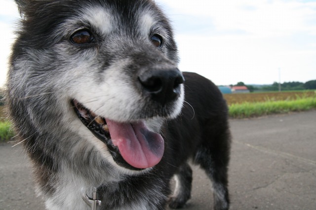 ファイル 282-3.jpg