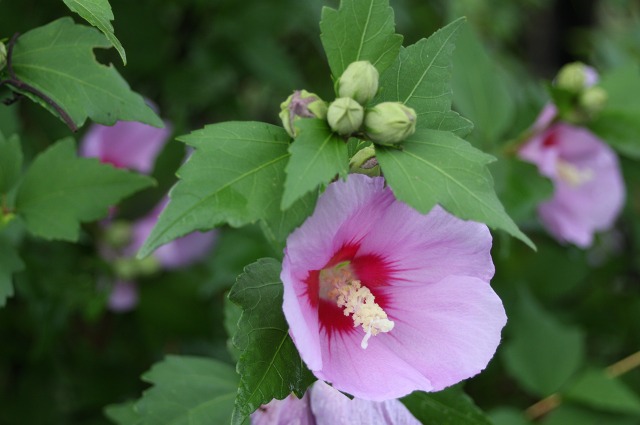 ファイル 286-2.jpg