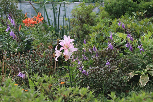 ファイル 286-3.jpg