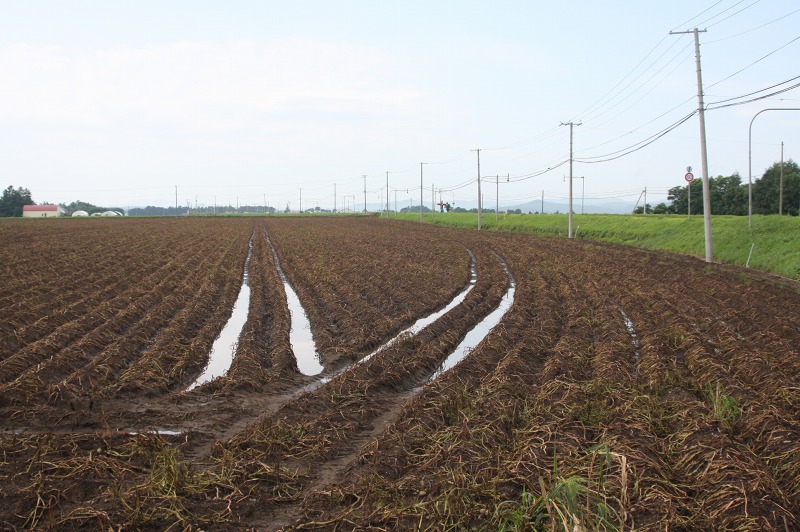 ファイル 287-5.jpg