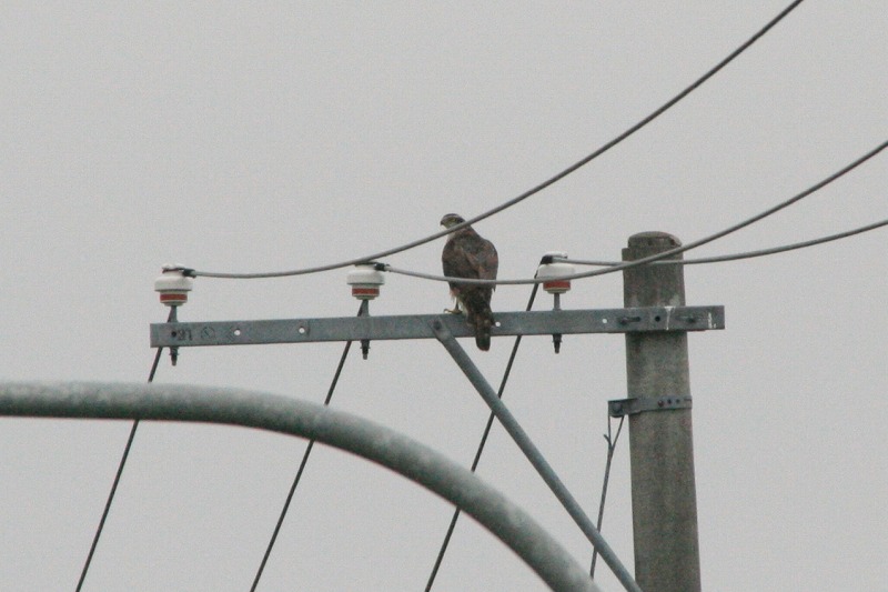 ファイル 288-2.jpg