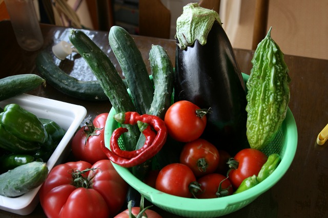 ファイル 288-4.jpg