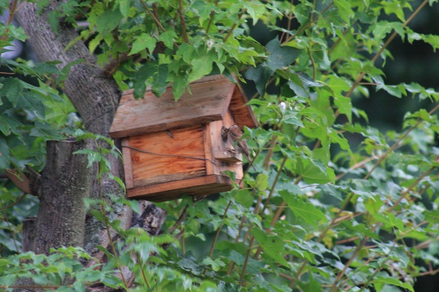 ファイル 289-1.jpg