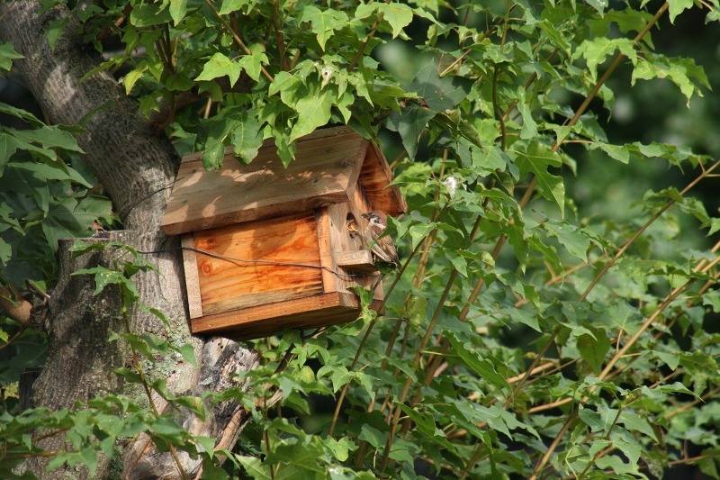 ファイル 289-2.jpg