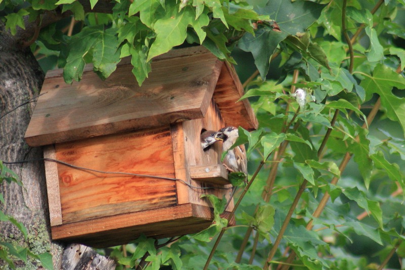 ファイル 289-3.jpg