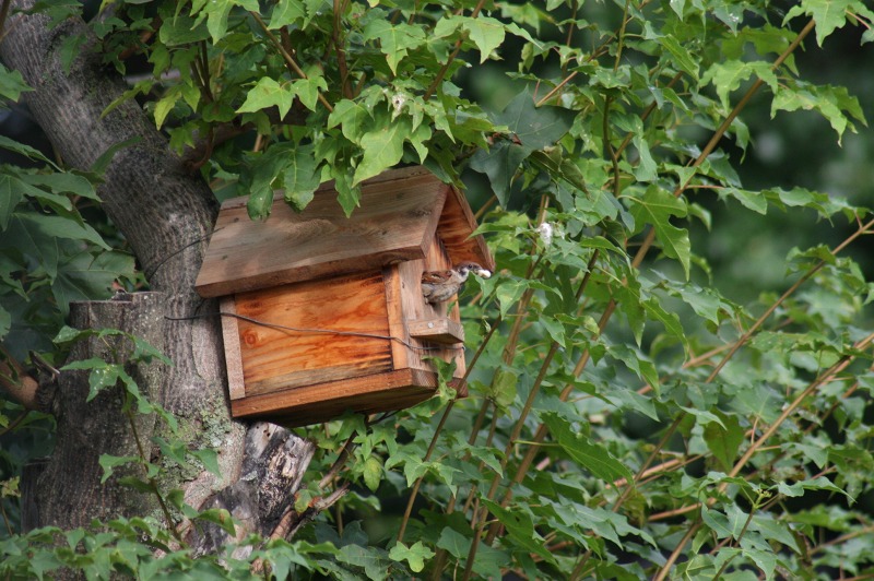 ファイル 289-4.jpg