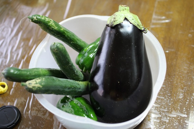 ファイル 290-1.jpg