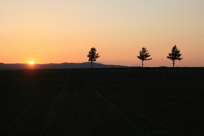 ファイル 291-2.jpg