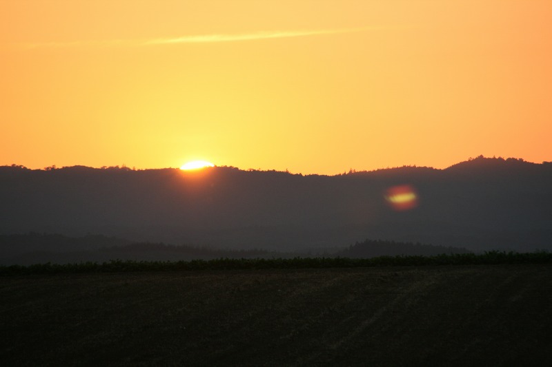 ファイル 291-3.jpg