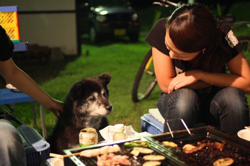 ファイル 292-1.jpg