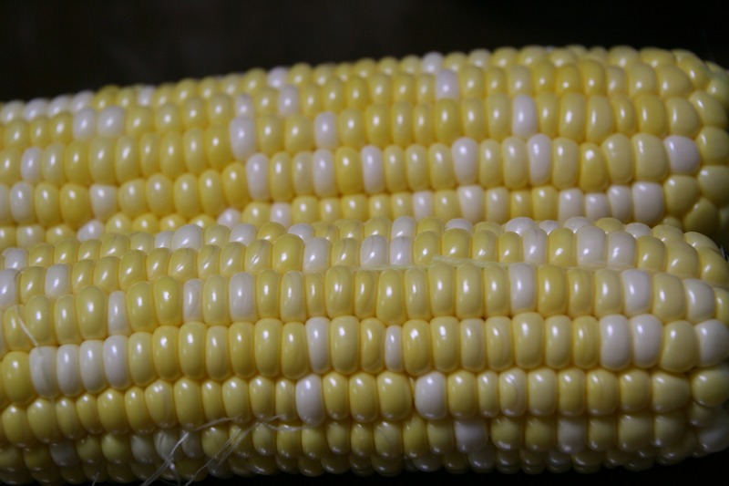 ファイル 293-2.jpg