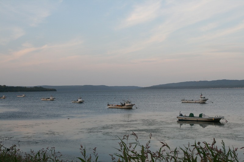 ファイル 293-3.jpg