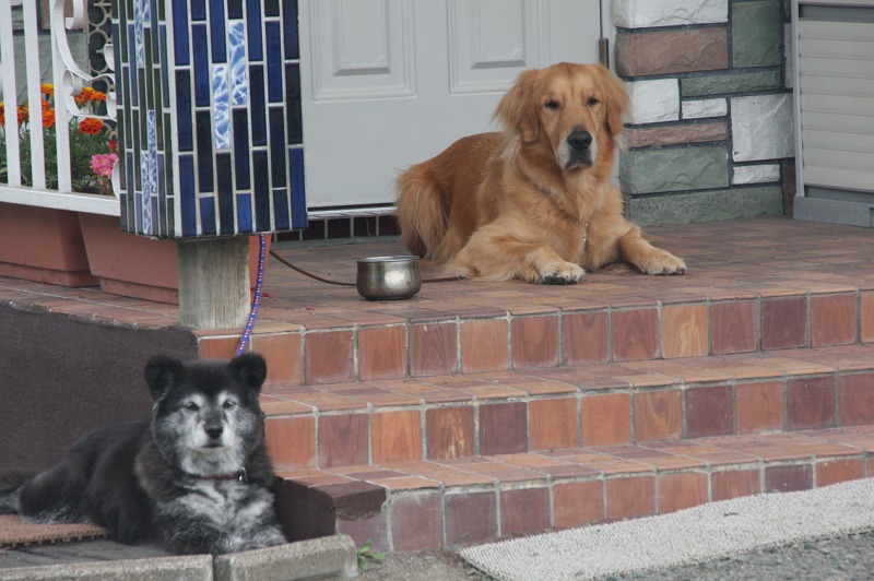 ファイル 295-1.jpg