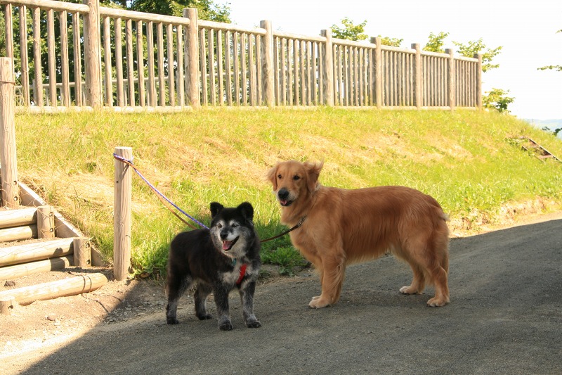 ファイル 295-3.jpg