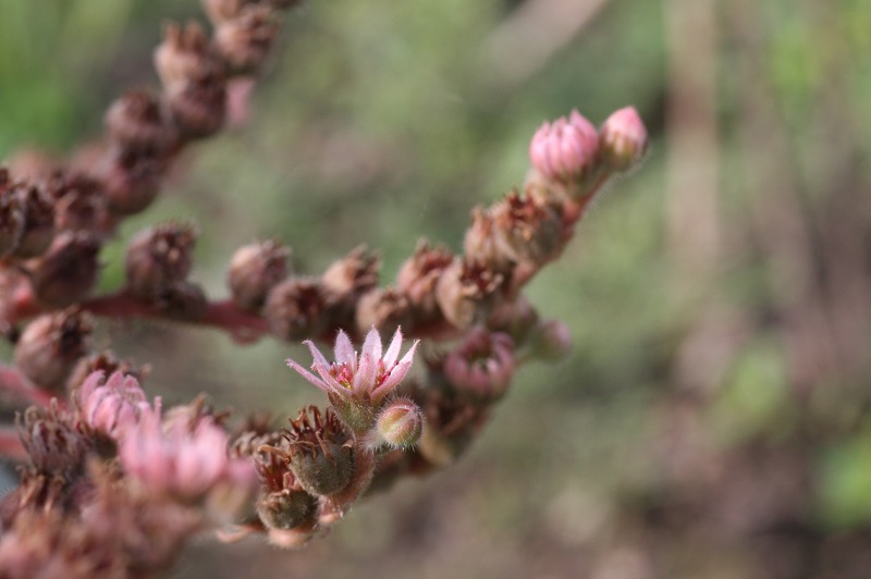 ファイル 296-2.jpg