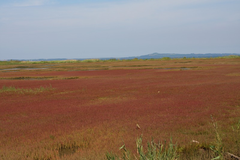 ファイル 297-2.jpg