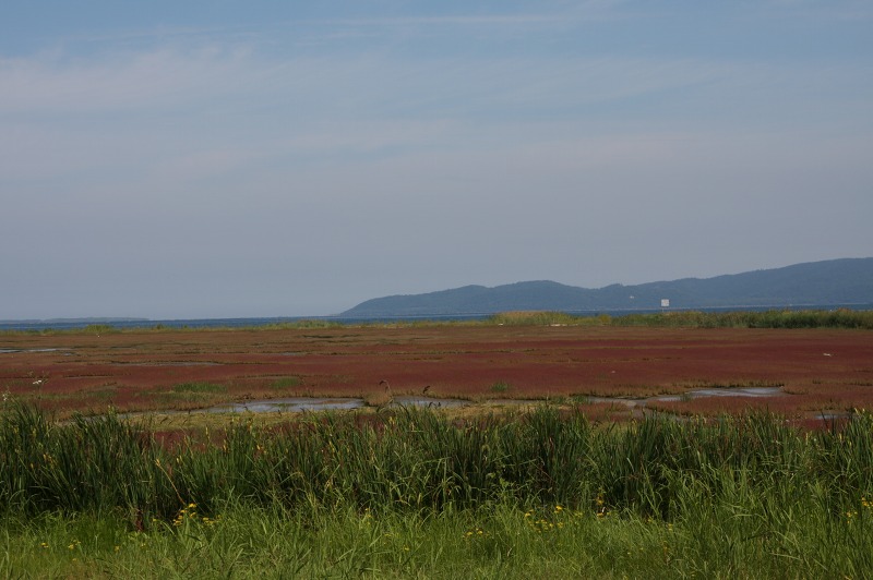 ファイル 297-3.jpg