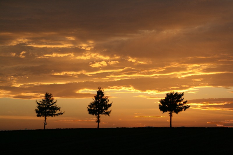 ファイル 299-2.jpg