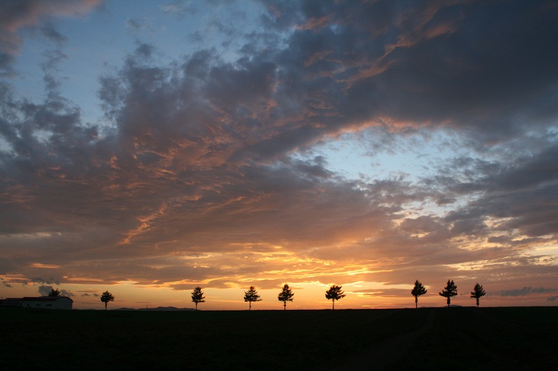 ファイル 299-3.jpg