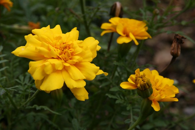 ファイル 30-4.jpg