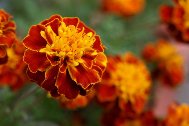 ファイル 30-5.jpg