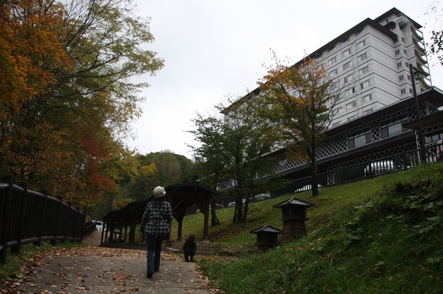 ファイル 34-1.jpg