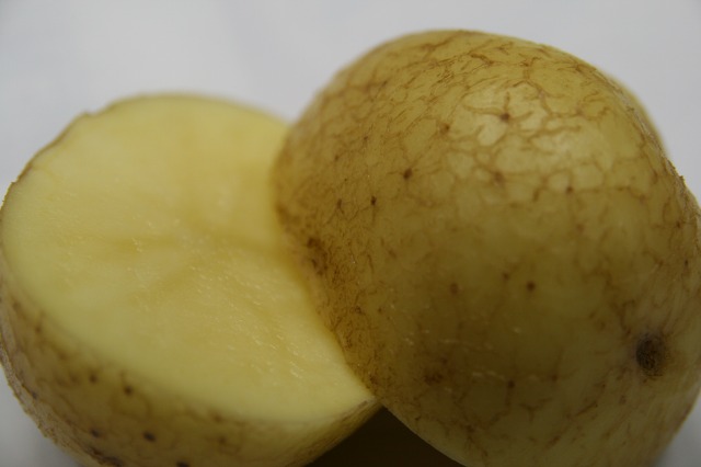 ファイル 35-1.jpg