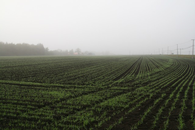 ファイル 37-1.jpg