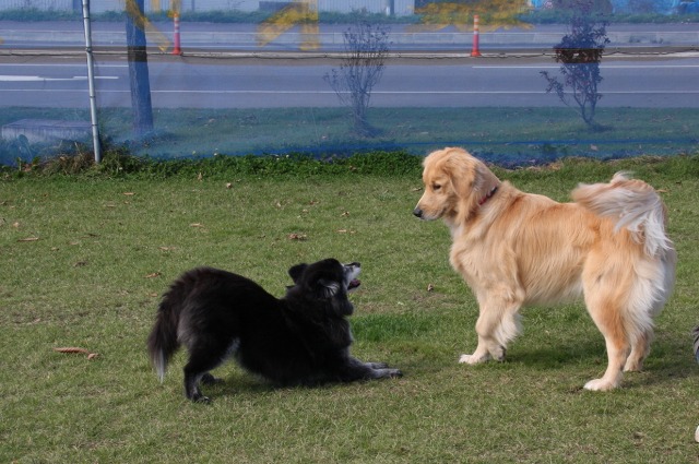 ファイル 43-2.jpg