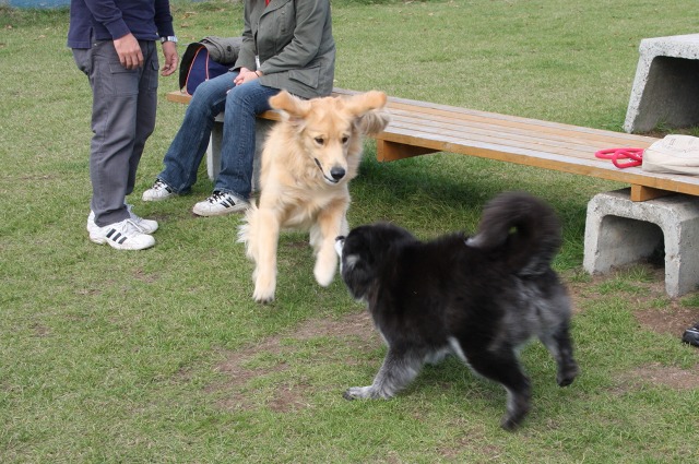 ファイル 43-3.jpg