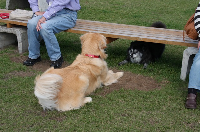 ファイル 43-5.jpg