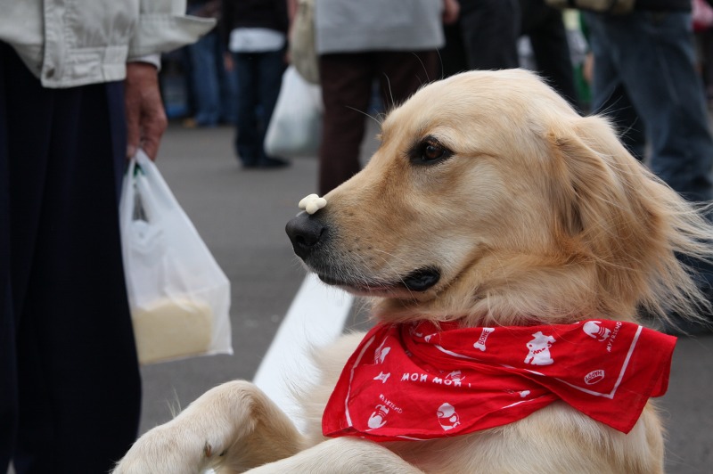 ファイル 44-1.jpg