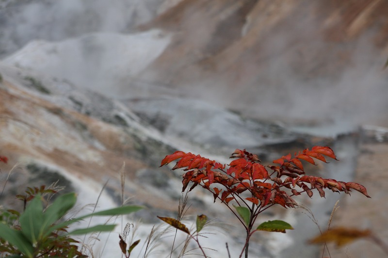 ファイル 44-2.jpg