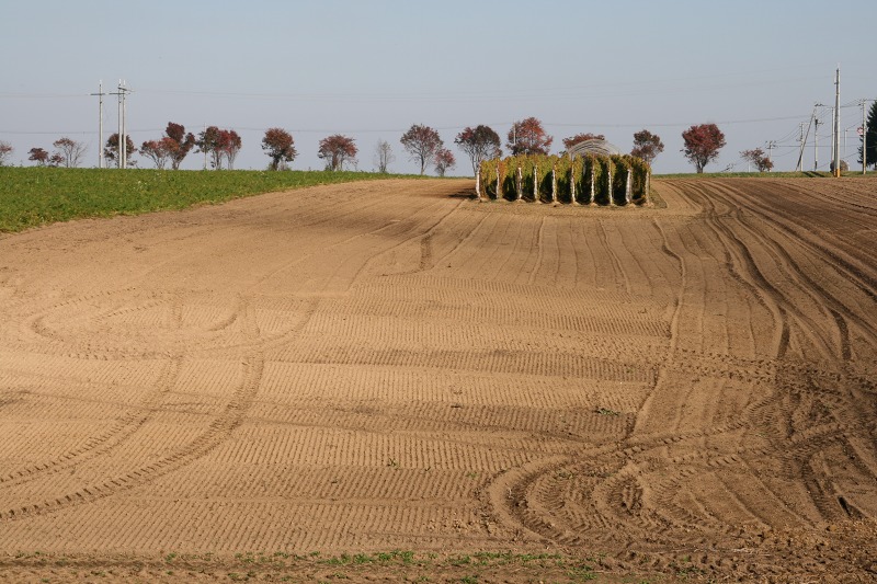 ファイル 46-4.jpg