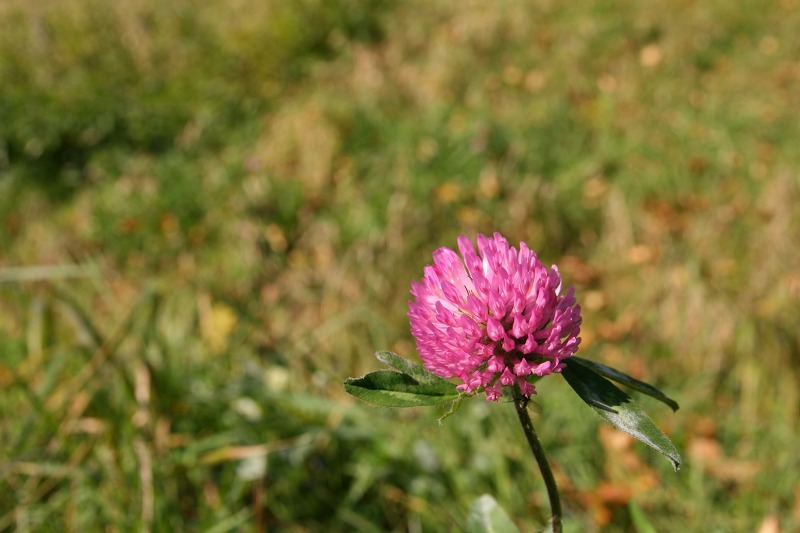 ファイル 46-5.jpg