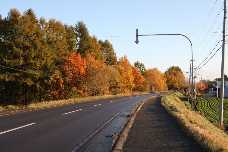 ファイル 49-1.jpg