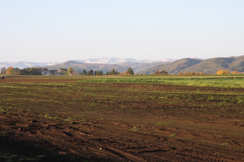 ファイル 49-2.jpg