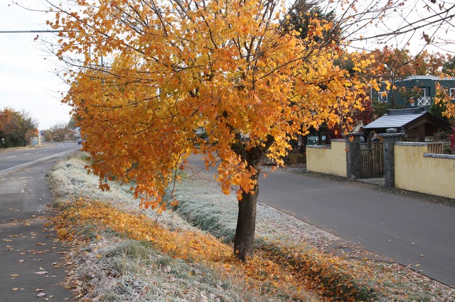 ファイル 50-3.jpg