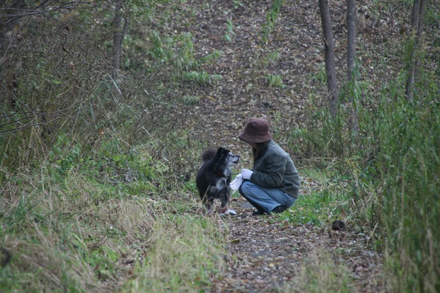 ファイル 51-1.jpg