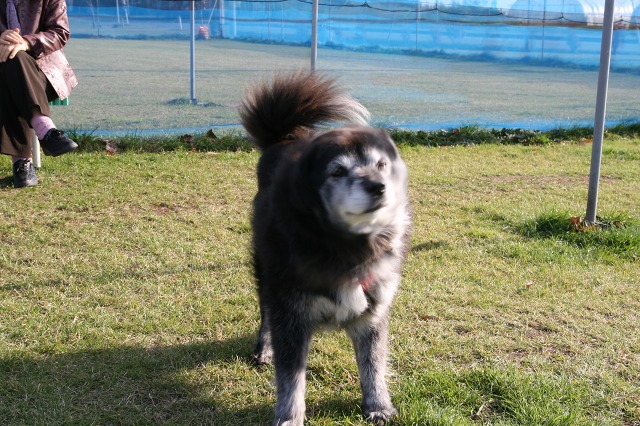 ファイル 53-2.jpg