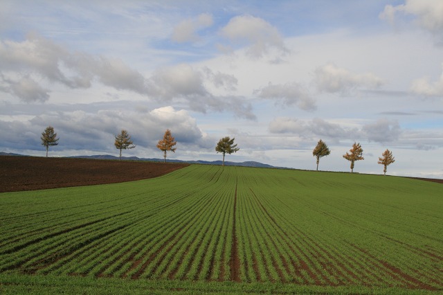 ファイル 55-1.jpg