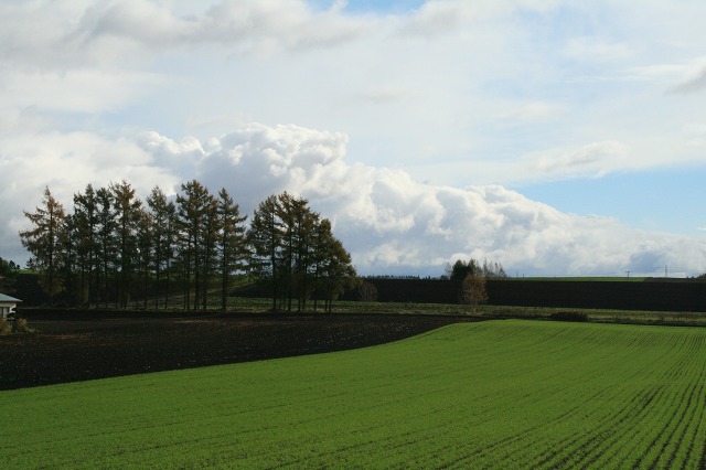 ファイル 55-2.jpg