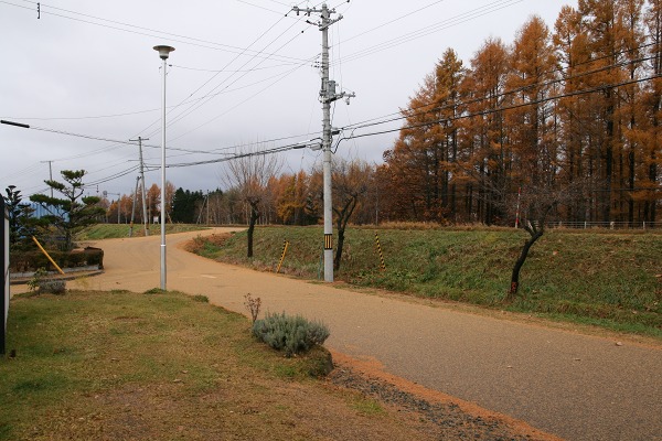 ファイル 59-1.jpg