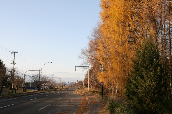 ファイル 61-1.jpg