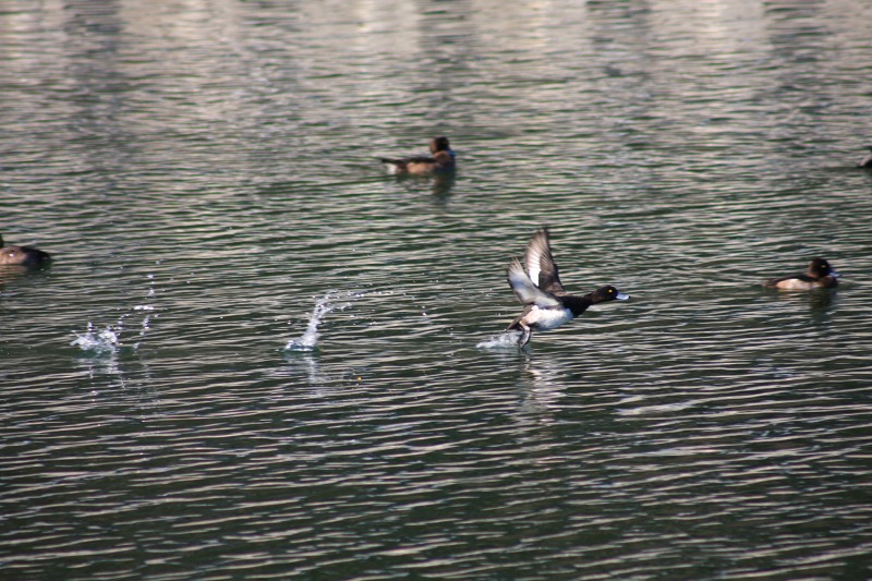 ファイル 63-4.jpg