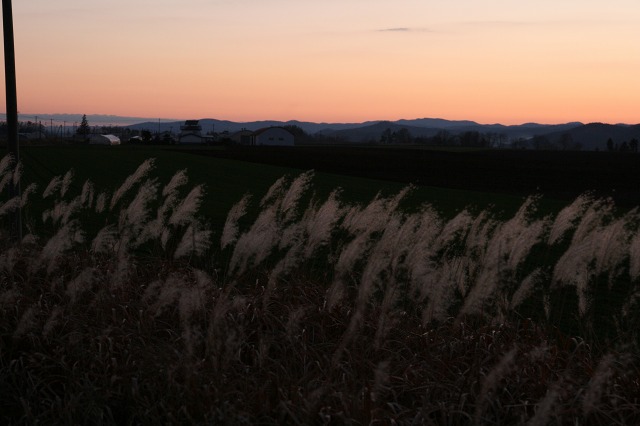 ファイル 64-3.jpg