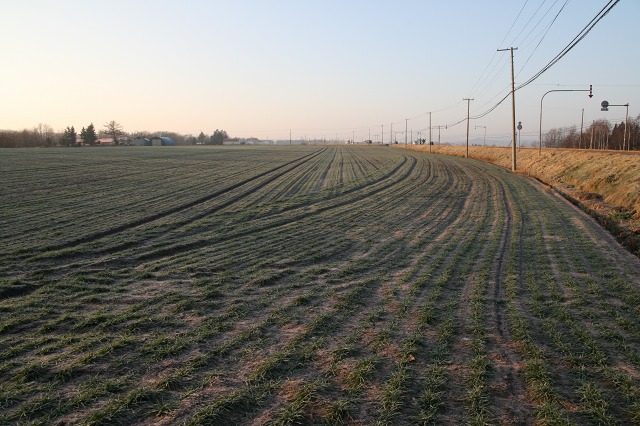 ファイル 72-1.jpg