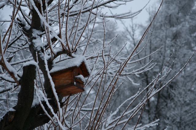 ファイル 76-1.jpg