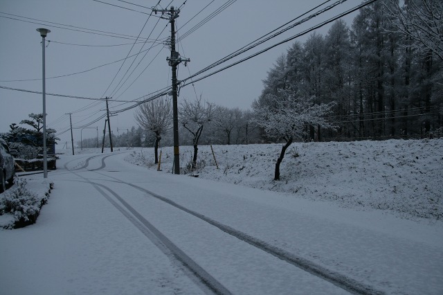 ファイル 76-3.jpg